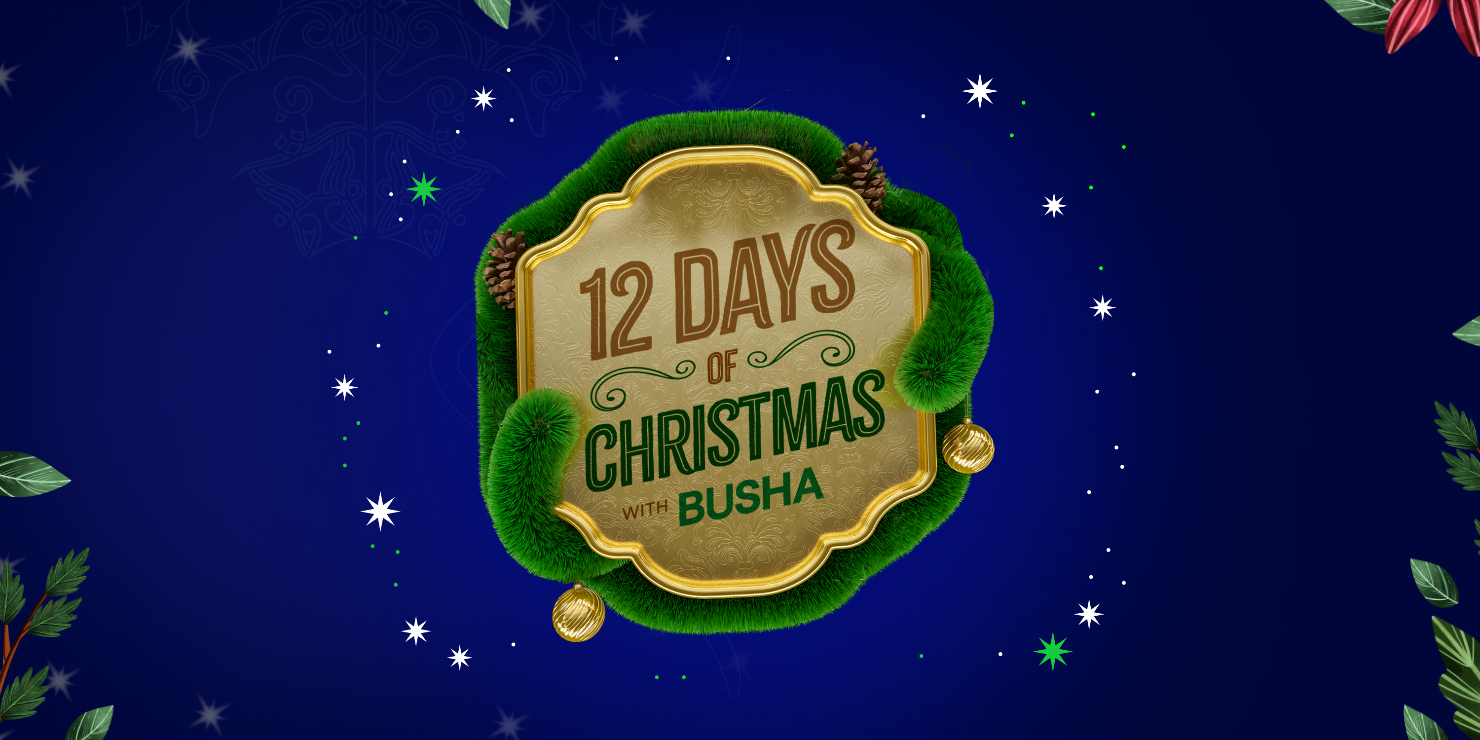 12 Days of Christmas With Busha (Now Closed!!!)
