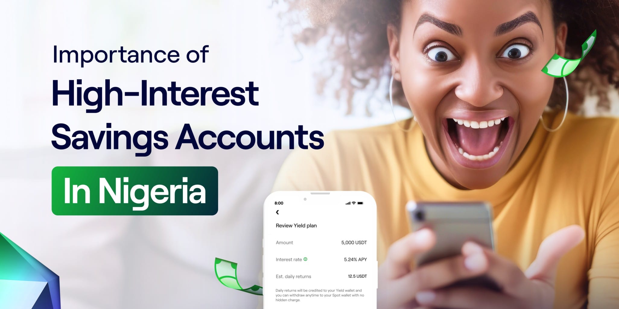 Importance of High-Interest Savings Accounts in Nigeria