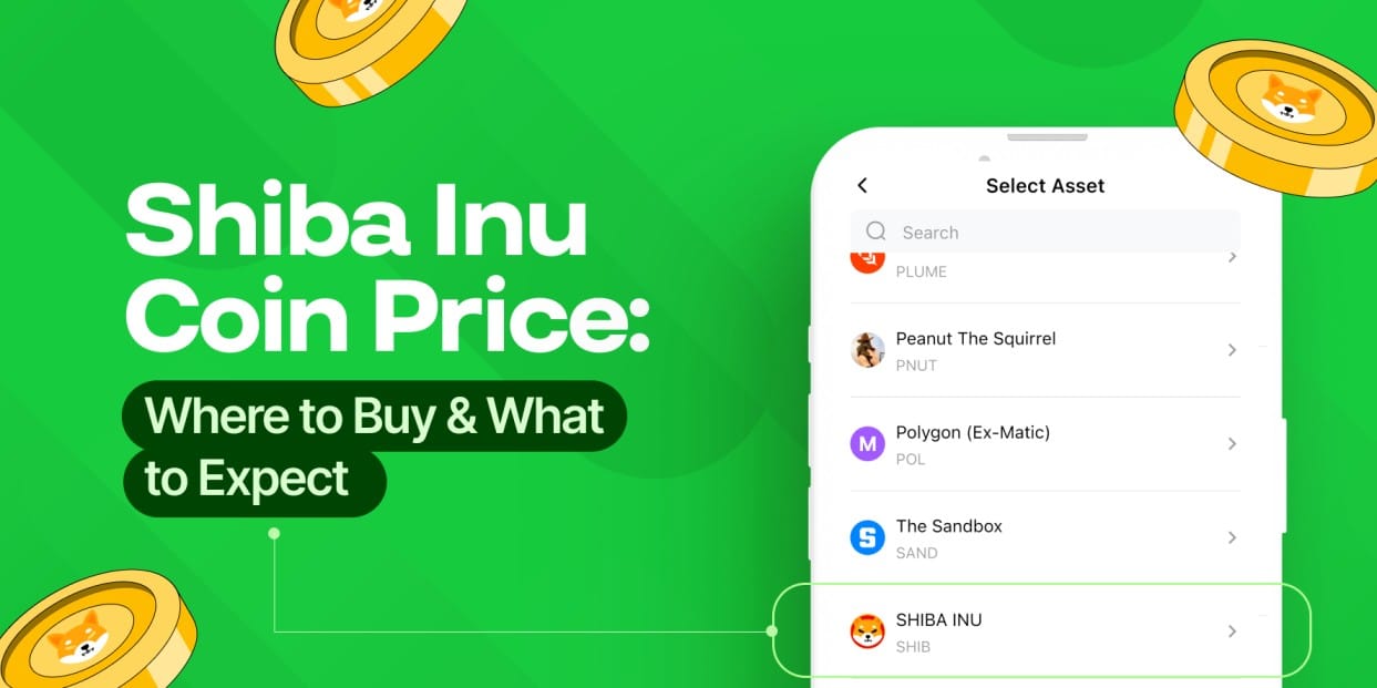 Shiba Inu Coin Price